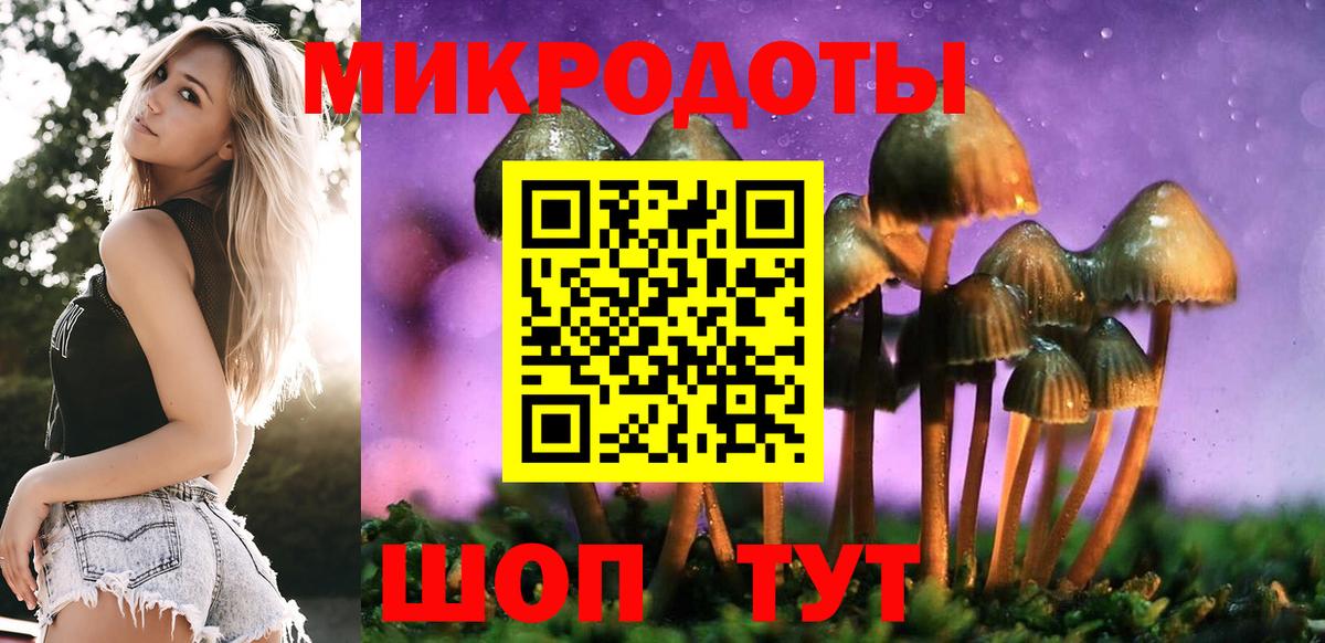 Псилоцибиновые грибы мухоморы Партизанск