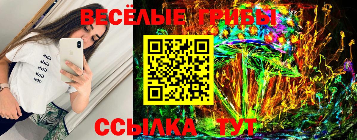 Галлюциногенные грибы MAGIC MUSHROOMS  Вход с VPN  Партизанск 